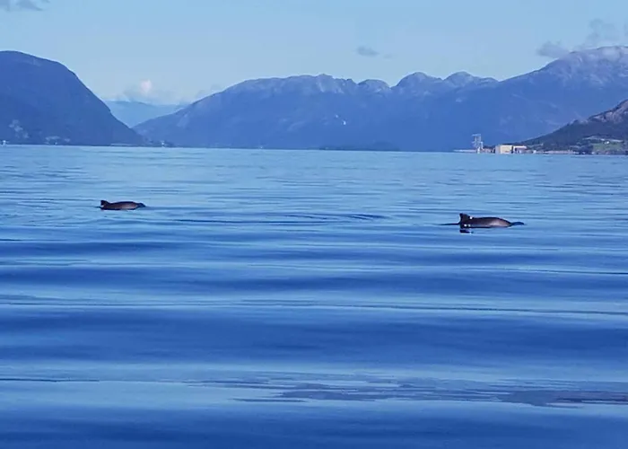 Fjordhytte-41 Mit Mietbarem 9,9 Ps Motorboot Am Hardangerfjord