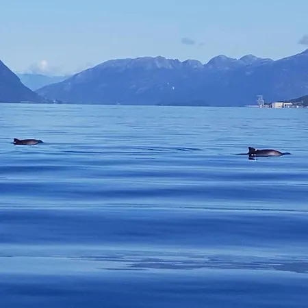 Fjordhytte-41 Mit Mietbarem 9,9 Ps Motorboot Am Hardangerfjord